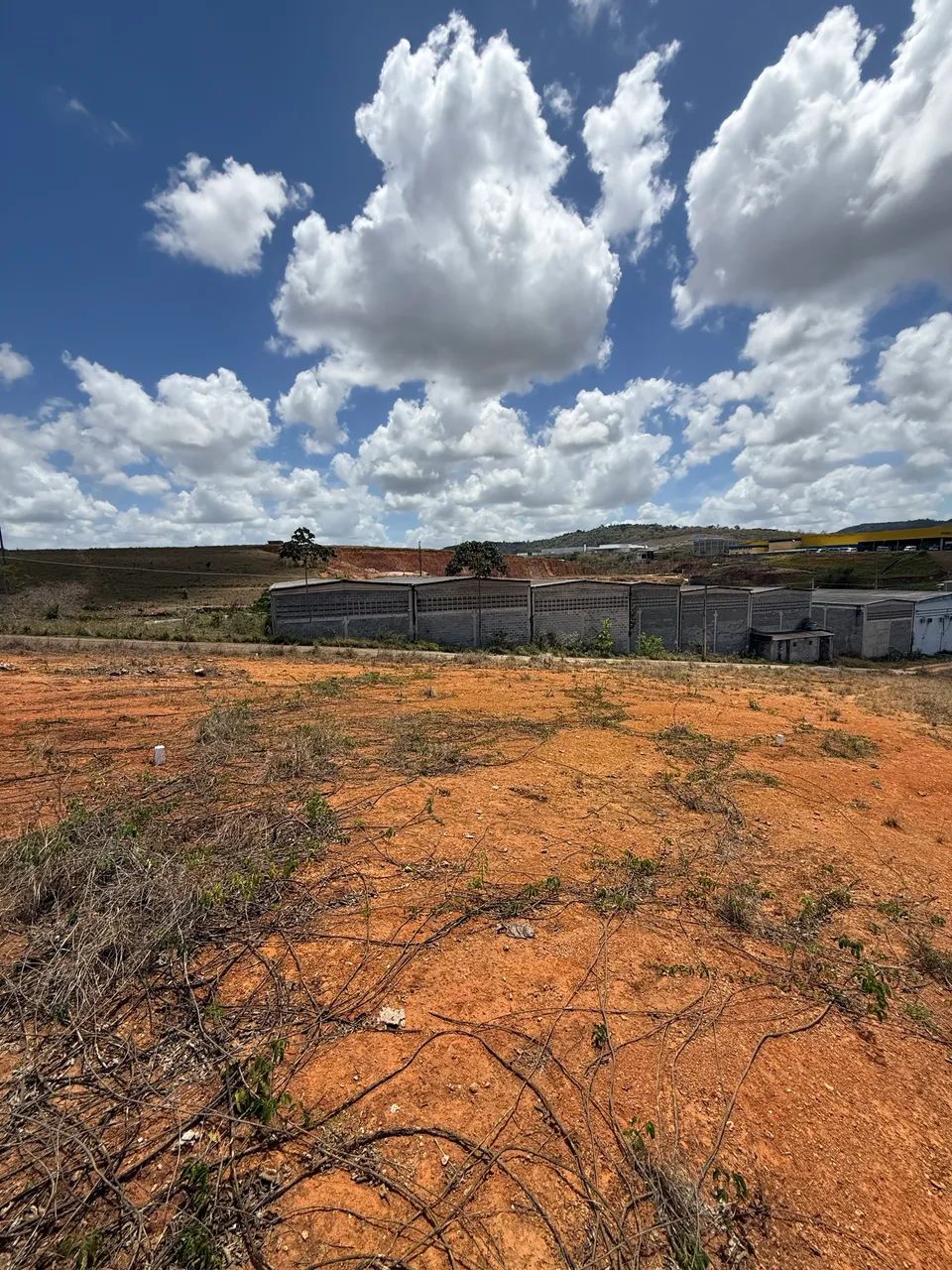 Foto - Recife - Boa Viagem