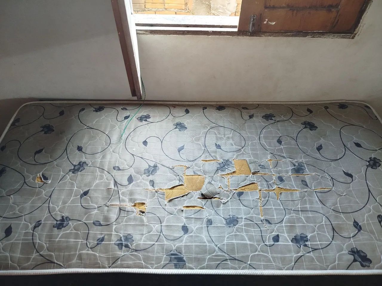 Bicama Usada Gazin  - Foto 2