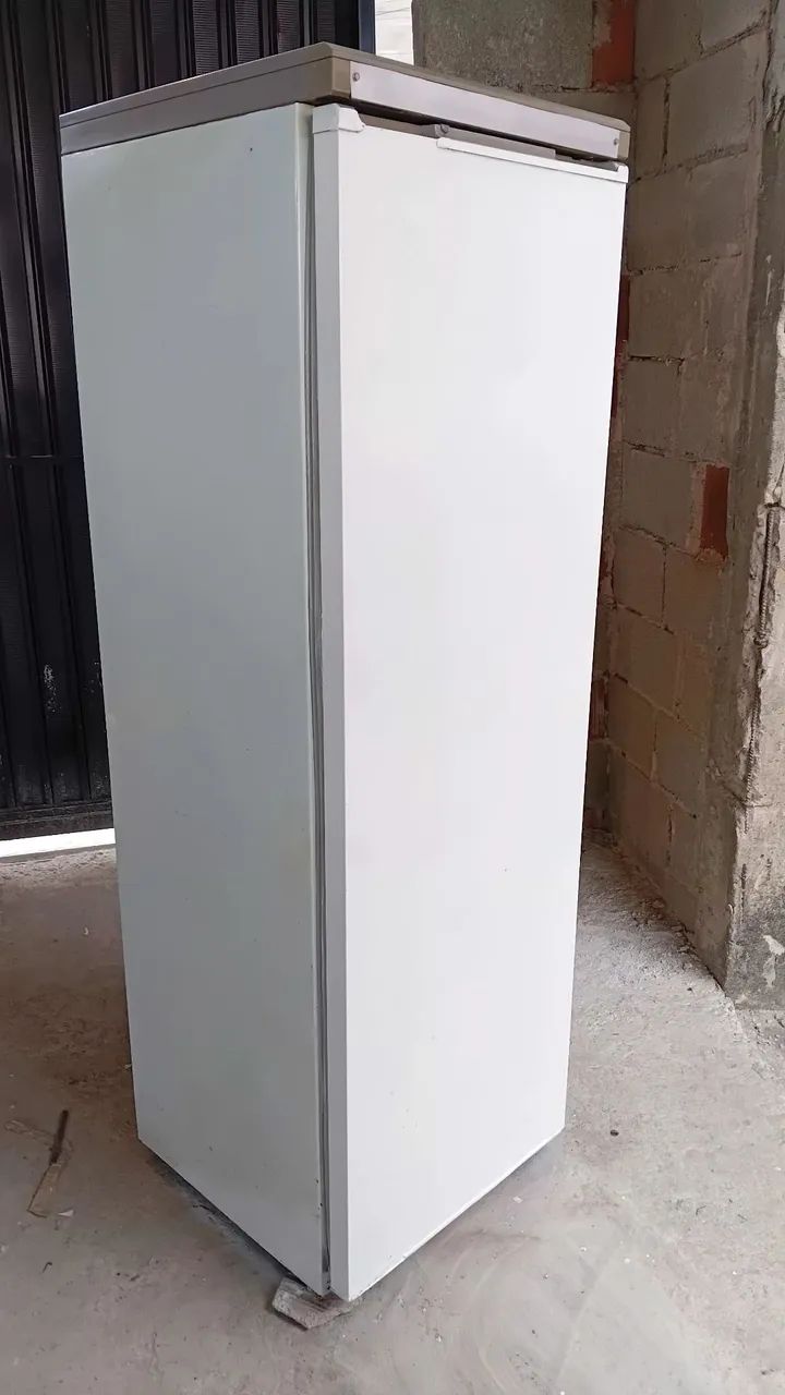 Vendo freezer com entrega grátis  - Foto 3