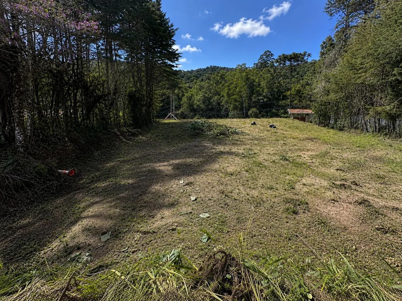 TERRENO  - Foto 3