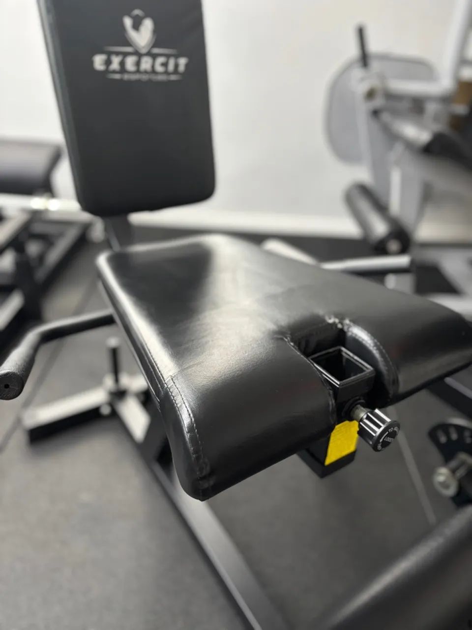 CADEIRA FLEXORA E EXTENSORA - Foto 2