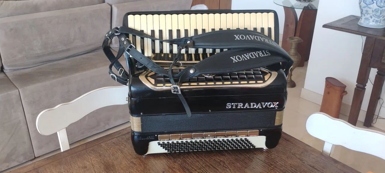 Acordeon stradavox - Foto 3