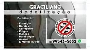 Dedetização  - Foto 5