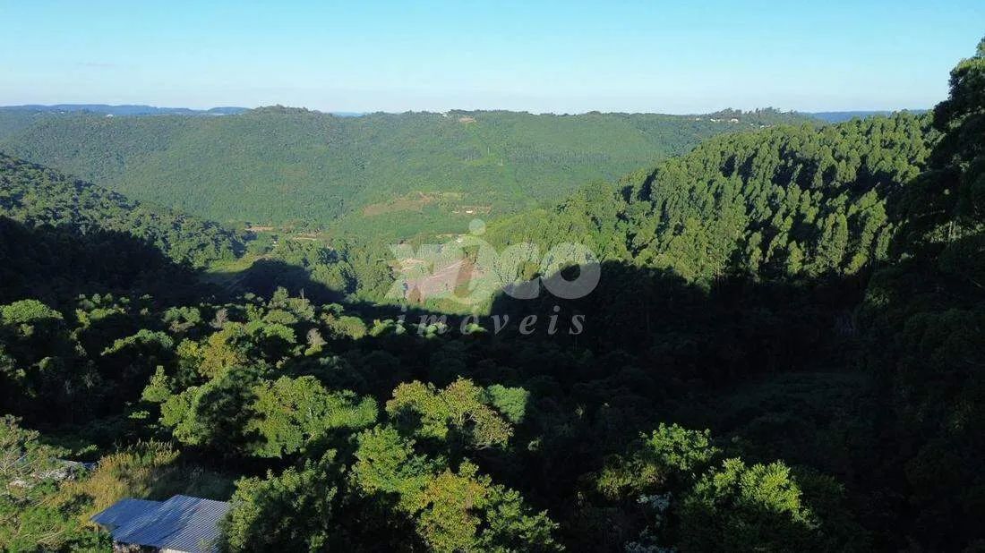 SÍTIO EM NOVA PETRÓPOLIS / RS - Foto 2