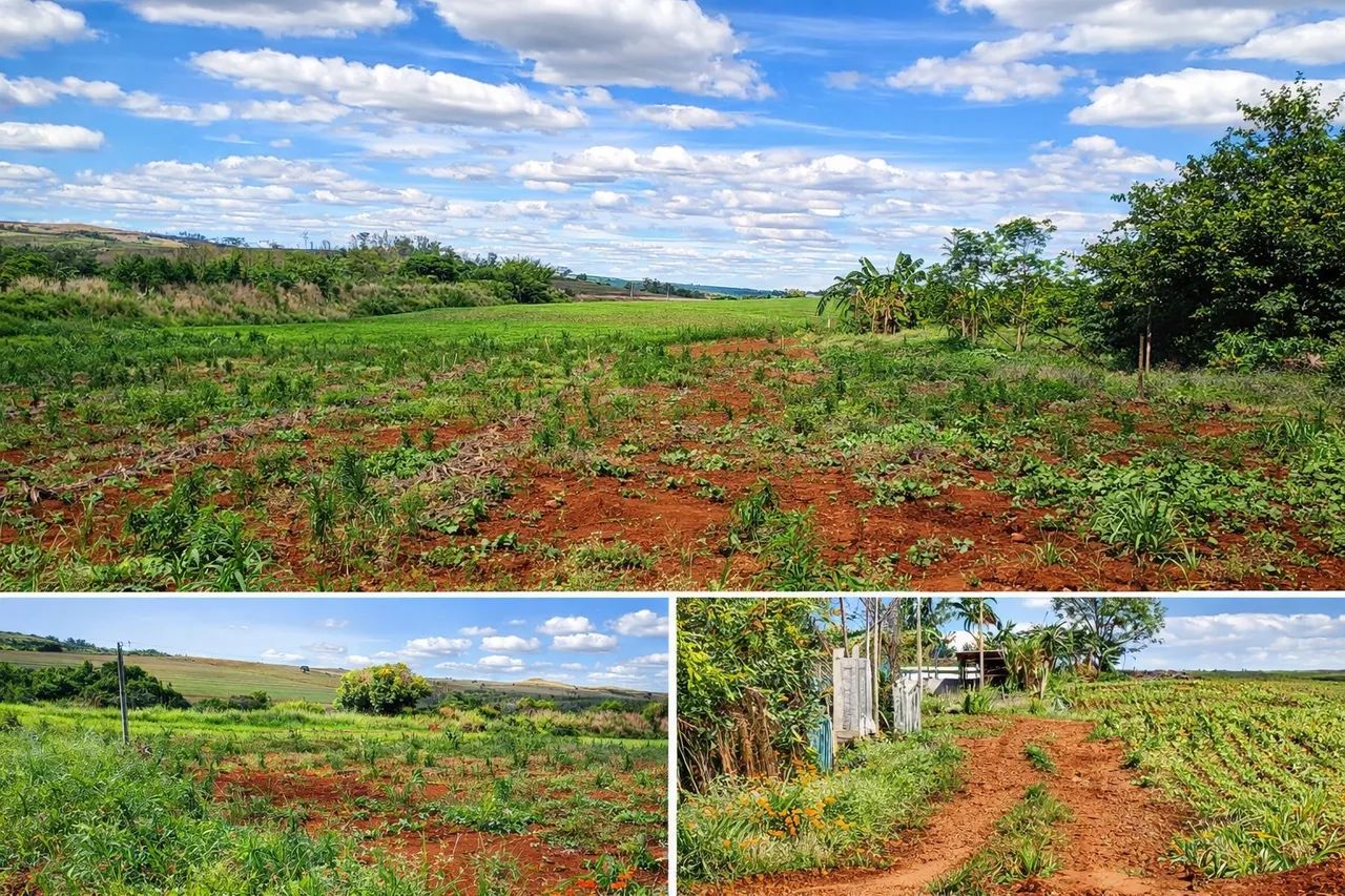 Chácara 2.200m² | 30 min de Maringá | Estudamos Permuta - Foto 2