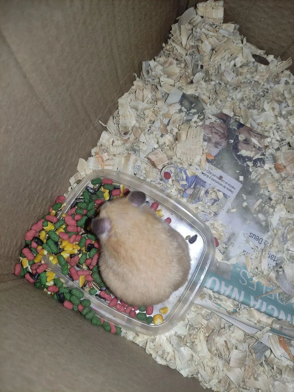 Vende se hamster