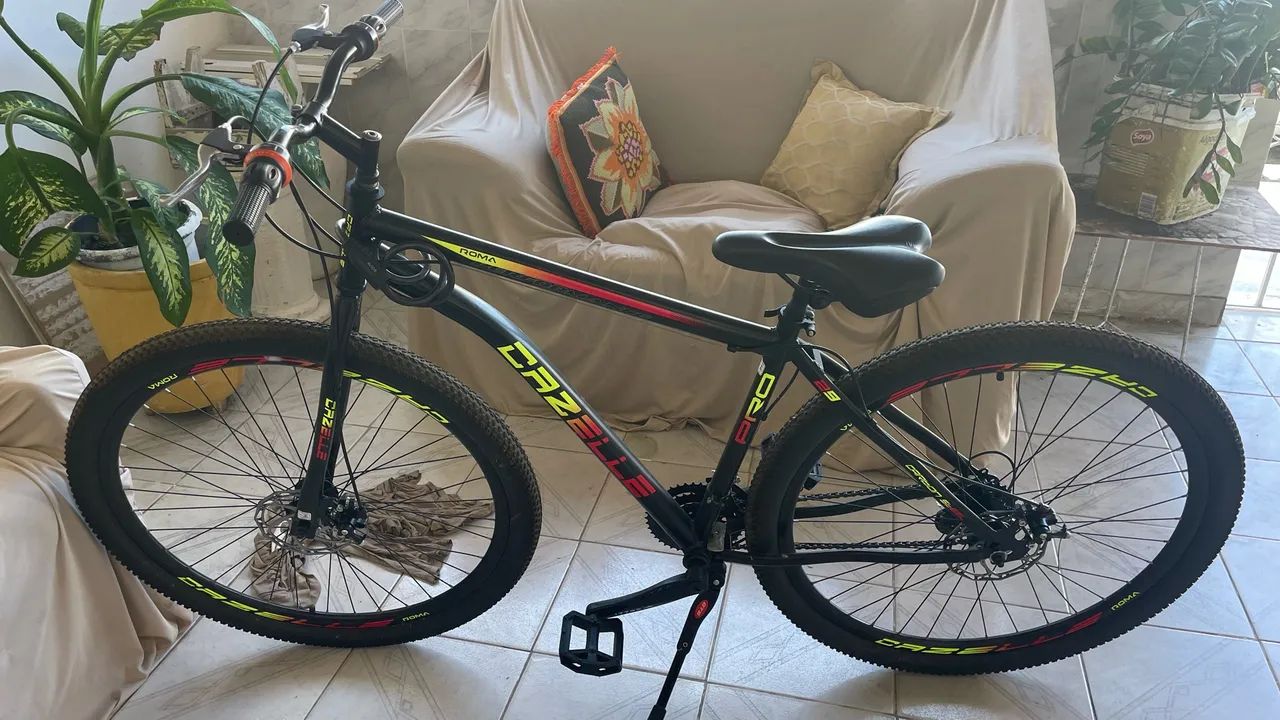 Bicicleta aro 29