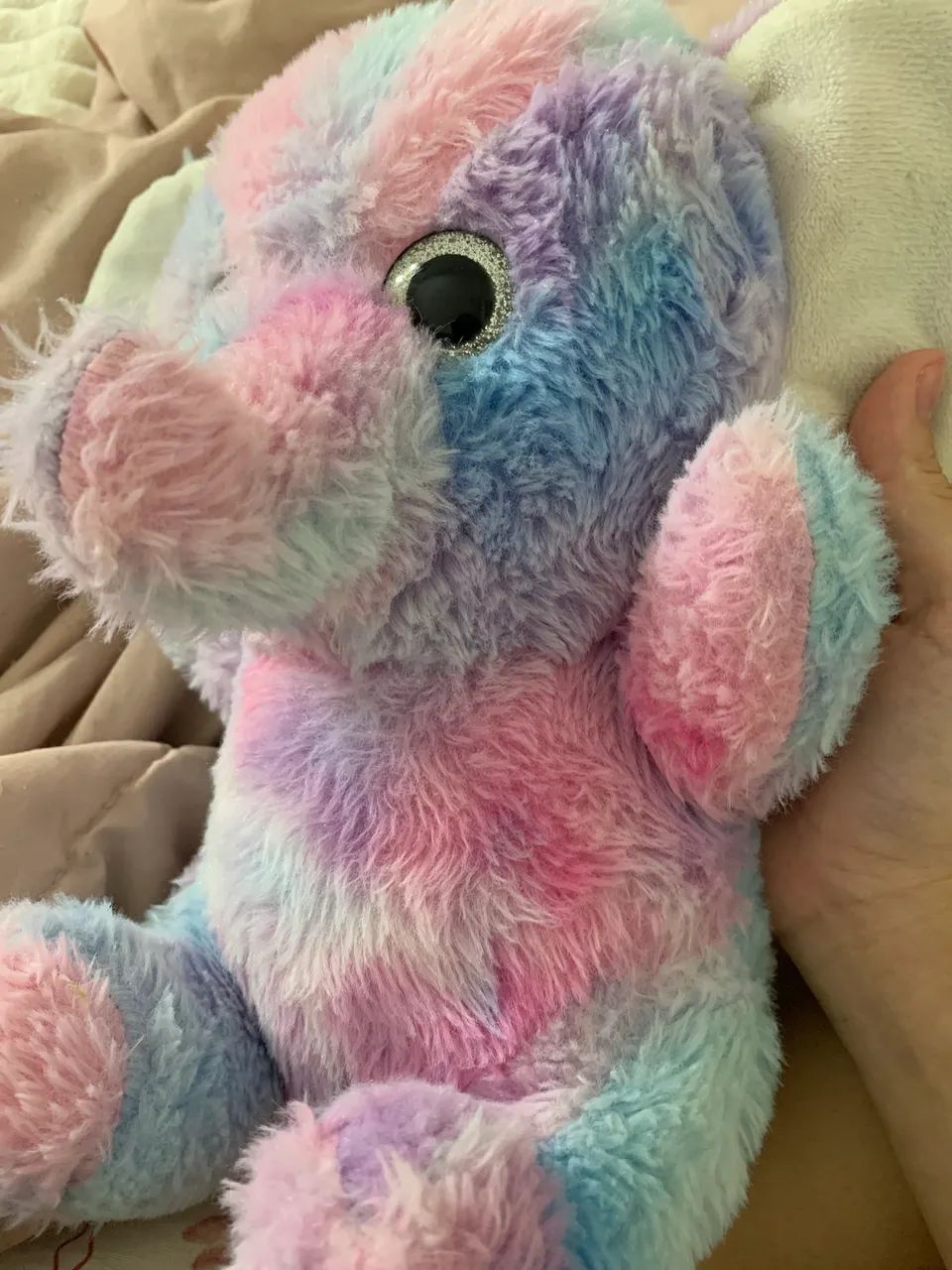 Urso elefante  - Foto 3