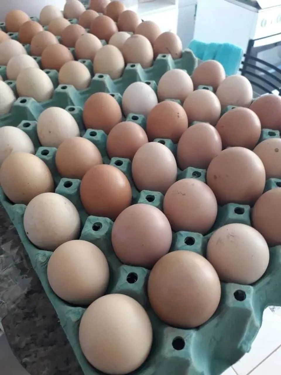 Ovos 