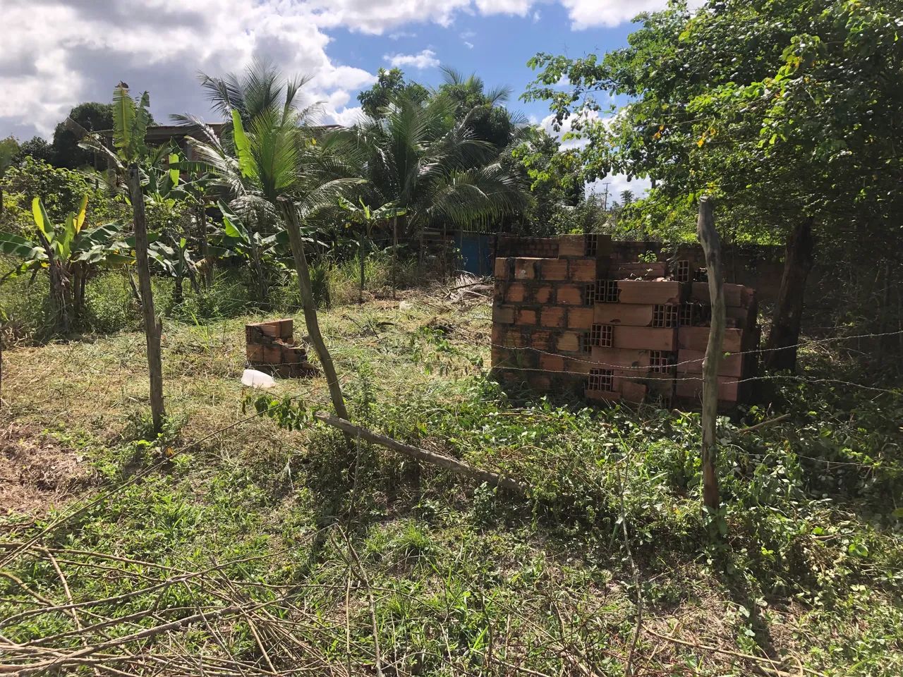 Terreno bom e barato  - Foto 3