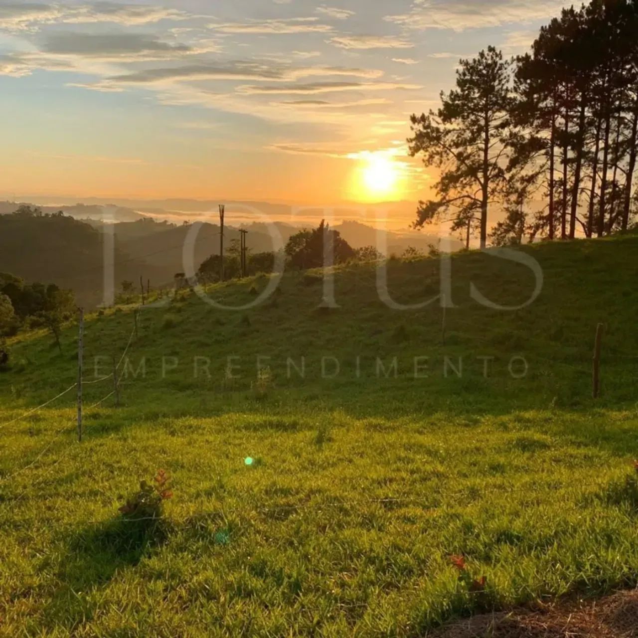 85T- LOTE RESIDENCIAL - PRONTO PARA CONSTRUIR - Foto 4