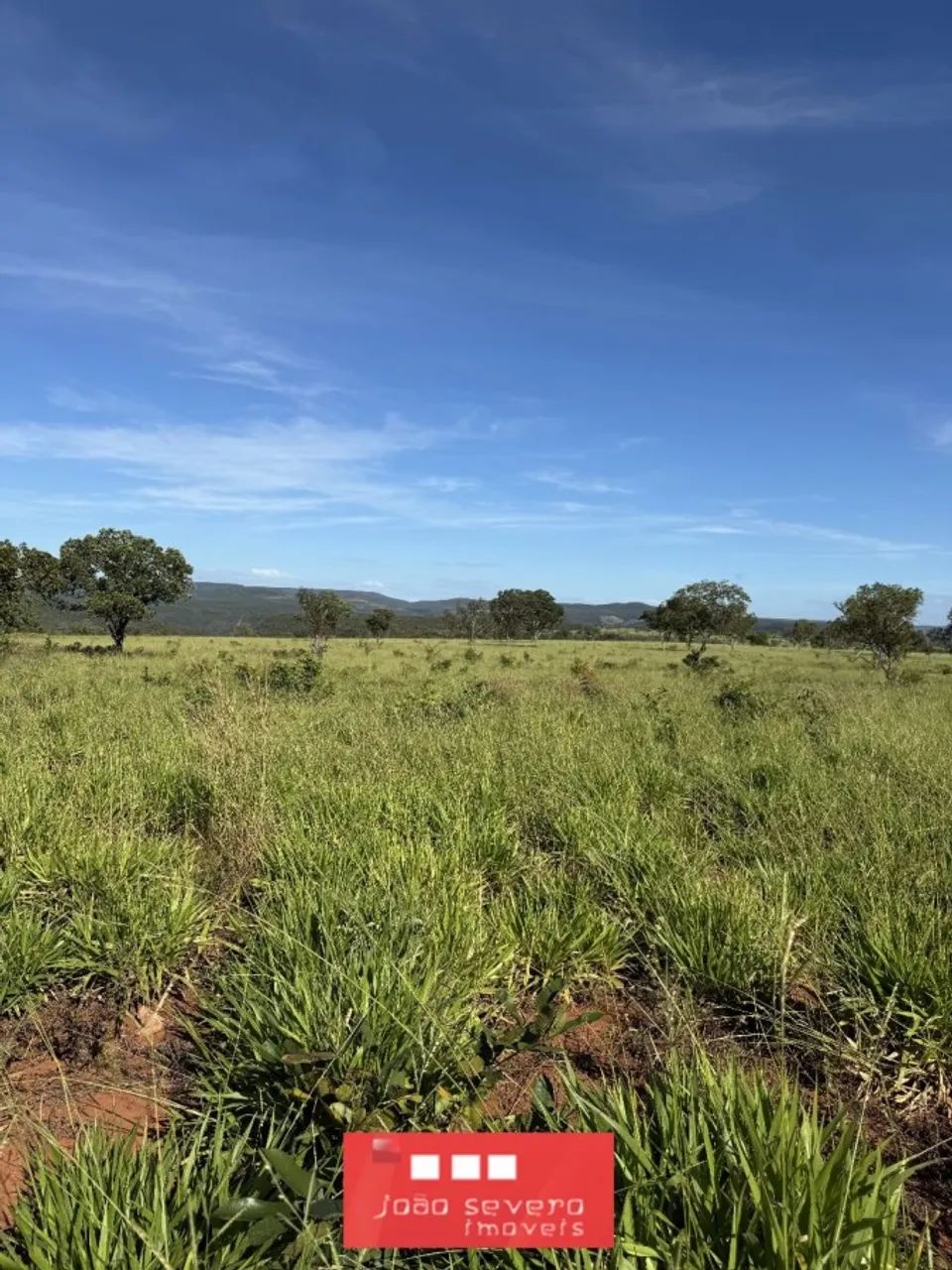 Fazenda para Venda em Ponte Alta do Tocantins - Foto 4