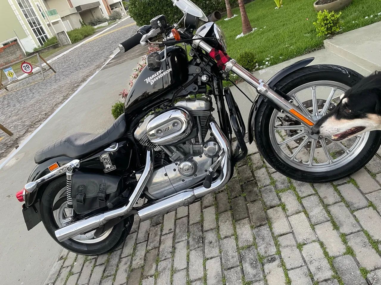Harley Davidson 883 - Foto 4