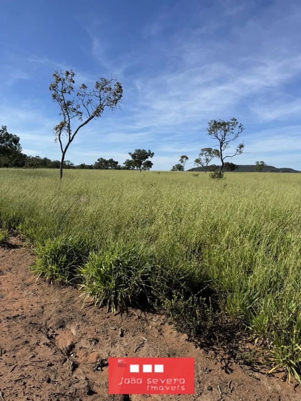 Fazenda para Venda em Ponte Alta do Tocantins - Foto 5