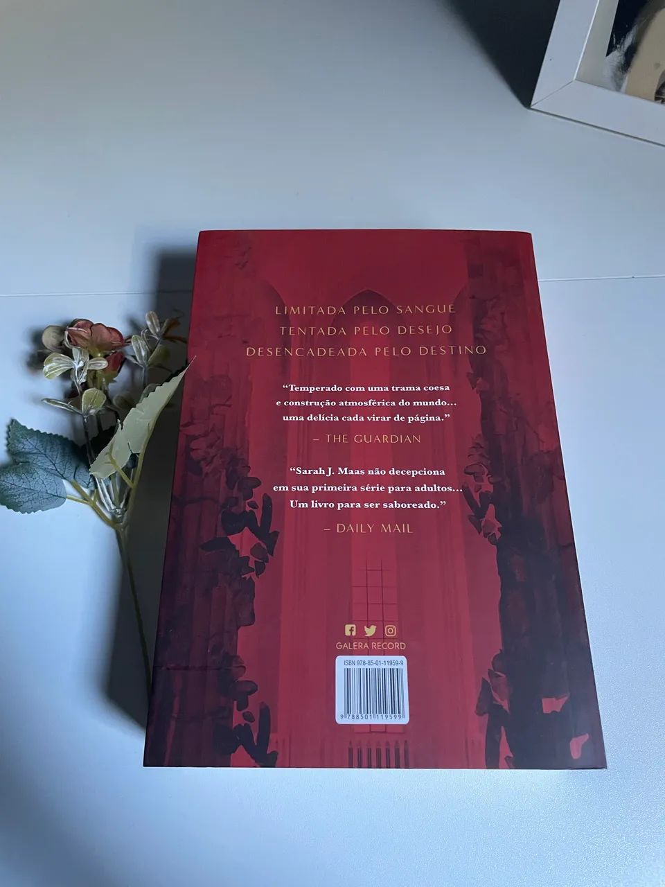 Livro Cidade da Lua crescente  - Foto 3