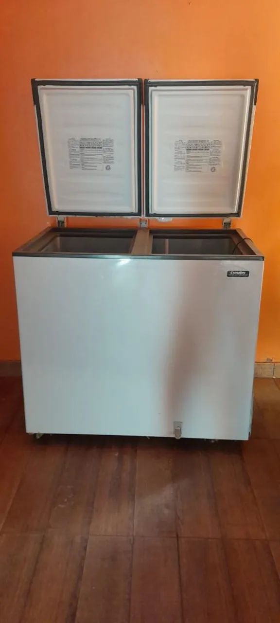 Freezer 300 litros 2 porta