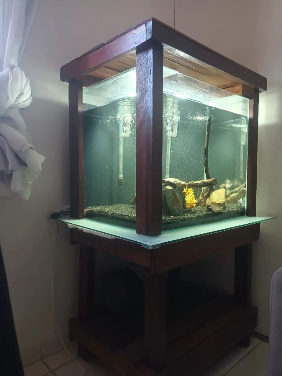 Aquário  - Foto 4