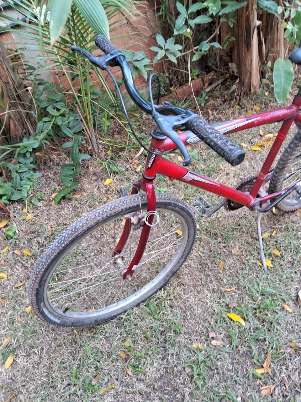 Bicicleta  - Foto 2