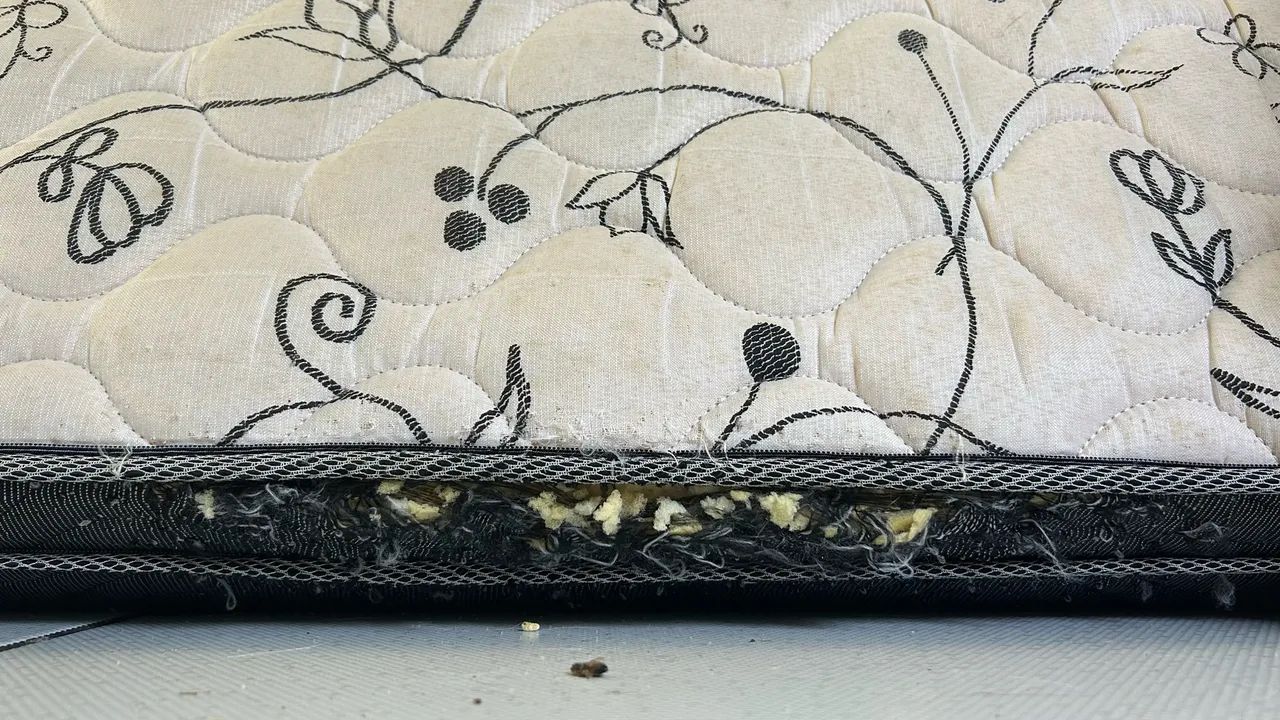 Colchão com marcas de gato  - Foto 3