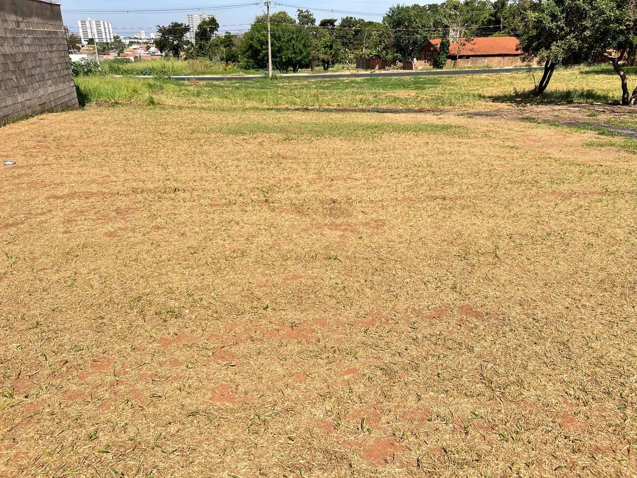 Terreno Cidade Jardim - Foto 3