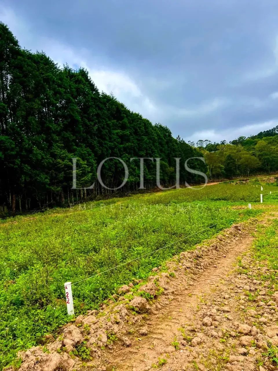 83C- OPORTUNIDADE DE TERRENOS EM COTIA - Foto 11