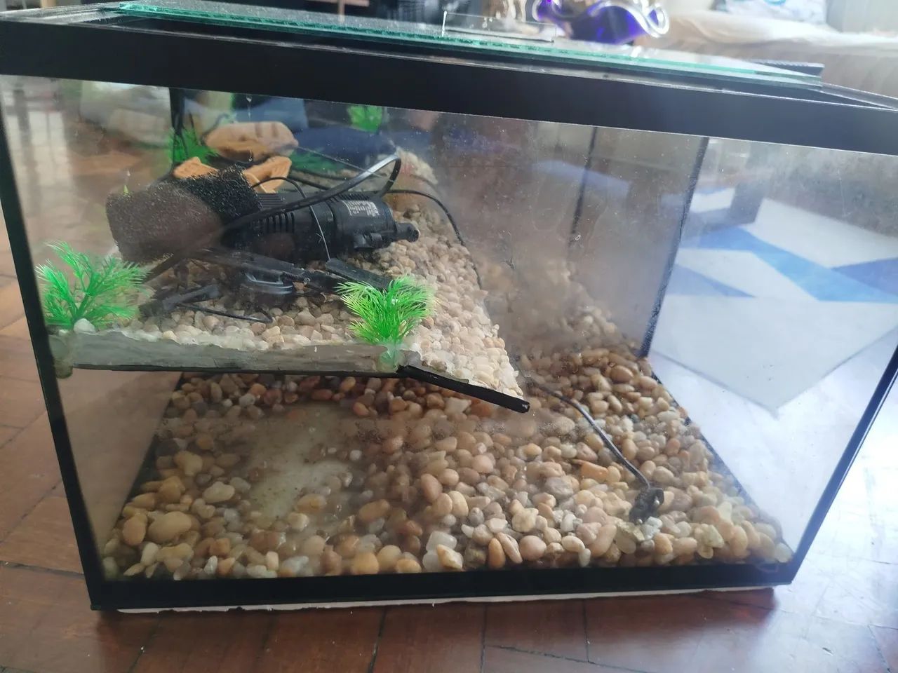 Vendo Aquário com Plantaforma 