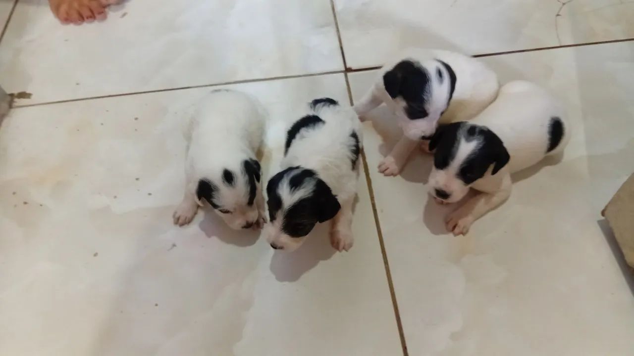 Doação  - Foto 2