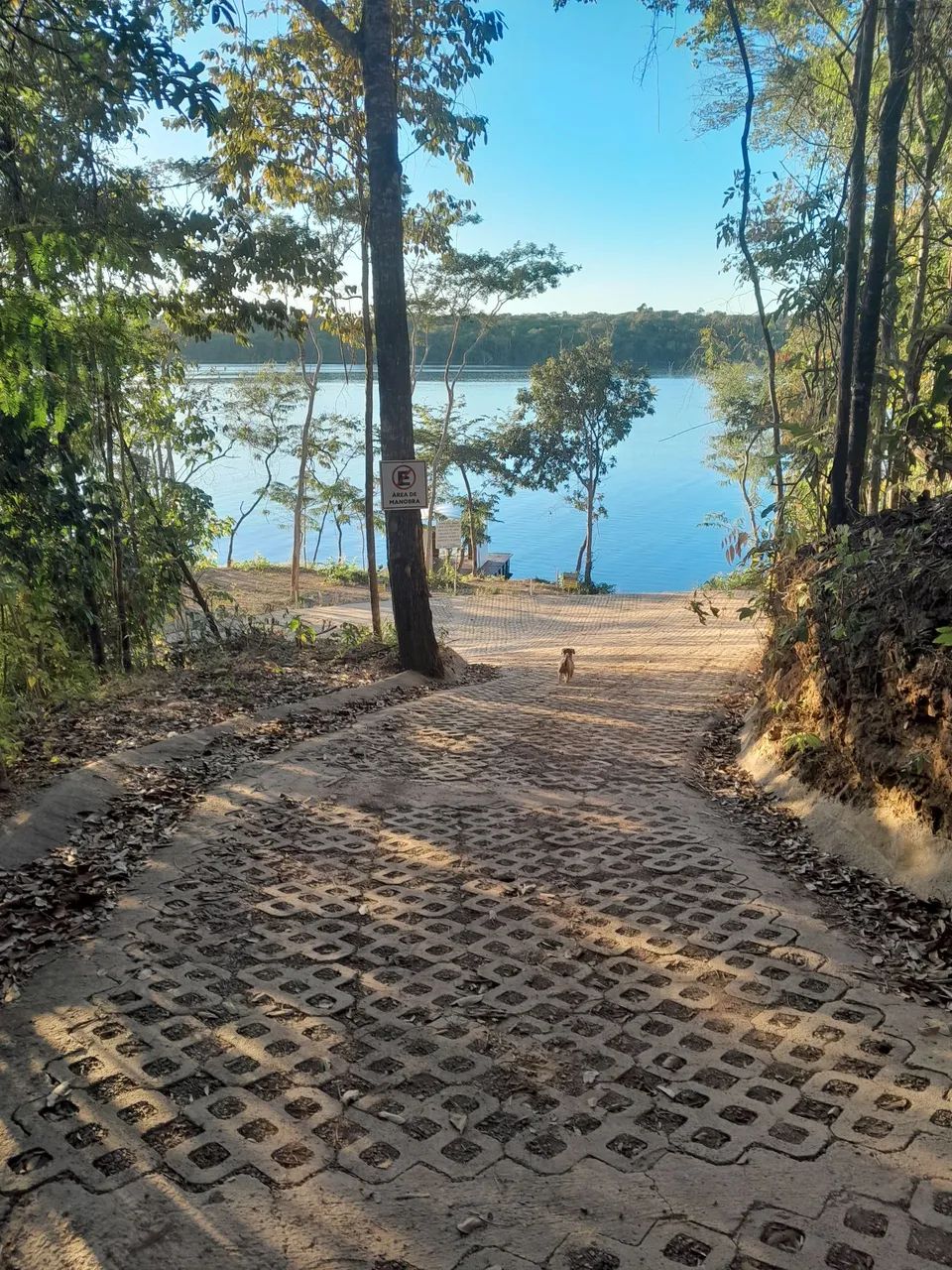 Aluguel de rancho  lago Corumba IV  - Foto 5