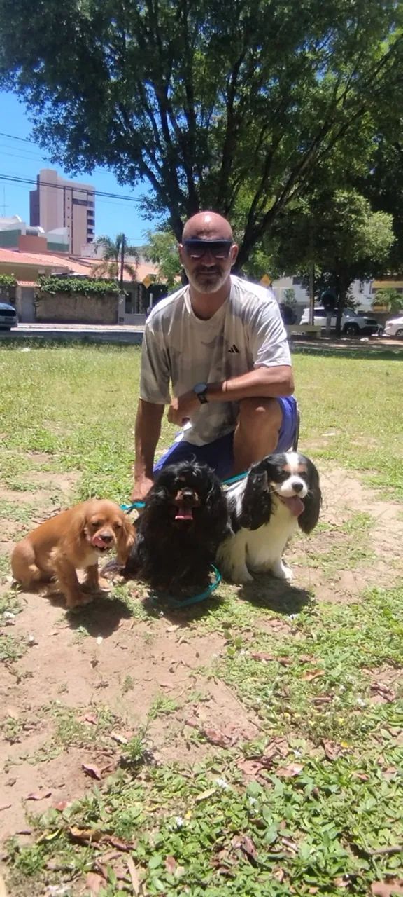 Adestramento de cachorros em João Pessoa - Foto 4