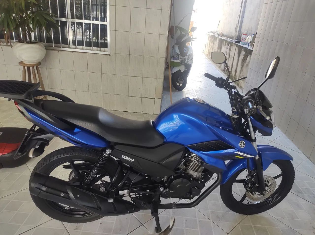 Fazer Azul 2022 - Foto 2