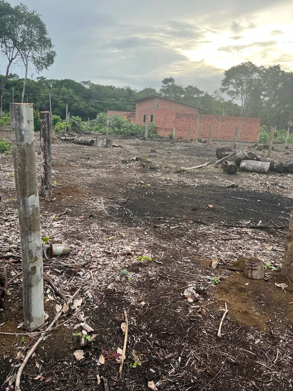 Foto - Macapá - Marabaixo