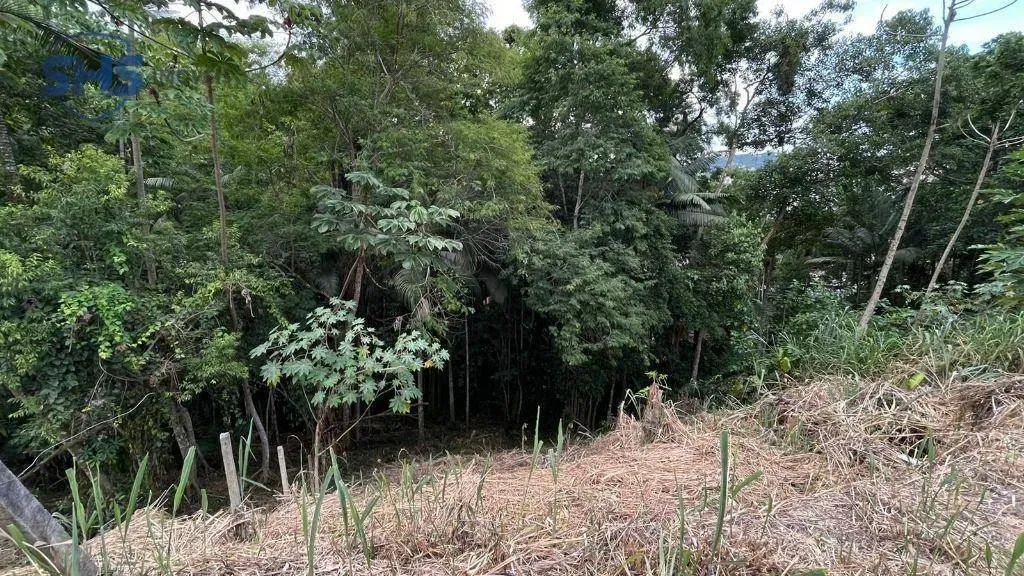 TERRENO NO JARDIM BLUMENAU - Foto 4