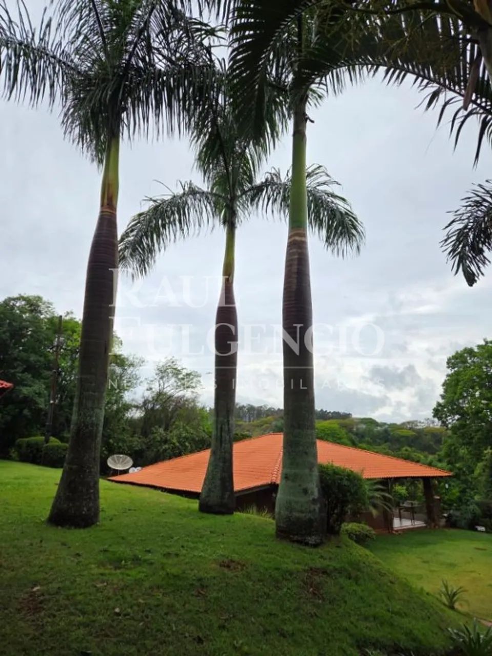 chacara a venda em rolandia - Foto 5