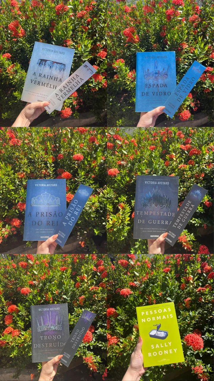livros