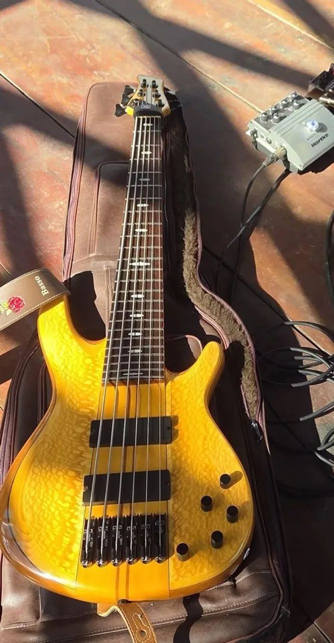 Baixo Luthier modelo Trb 6 cordas 
