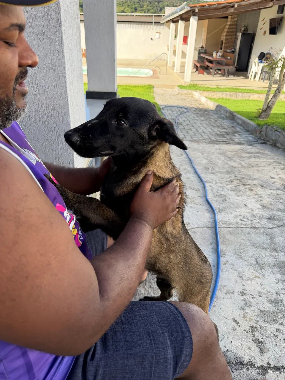 Pastor Belga Malinois - Macho com Pedigree CBKC - Foto 3