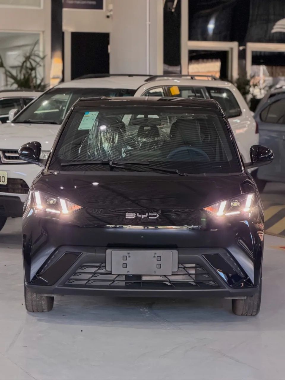 BYD Dolphin Mini (Elétrico) 2027 - Foto 3