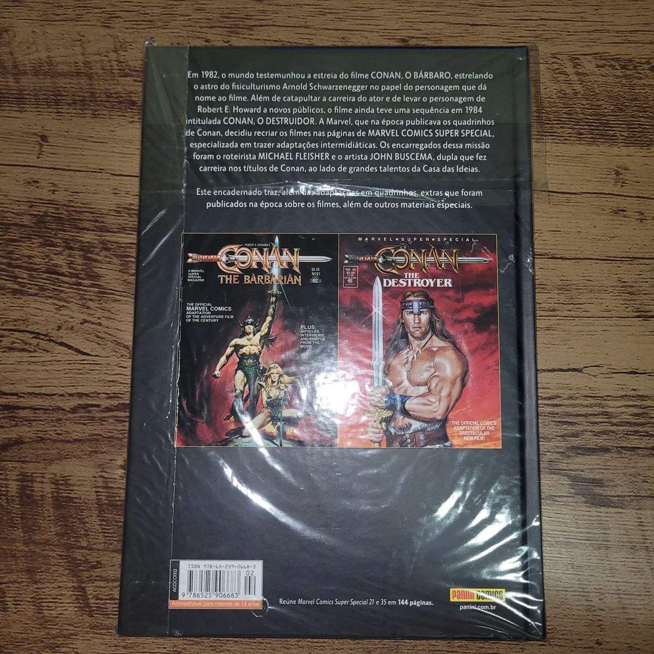 Conan, o Bárbaro: A Espada Selvagem em Cores vol. 2 - Foto 3