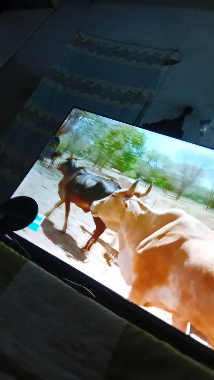 Tv 50 polegada