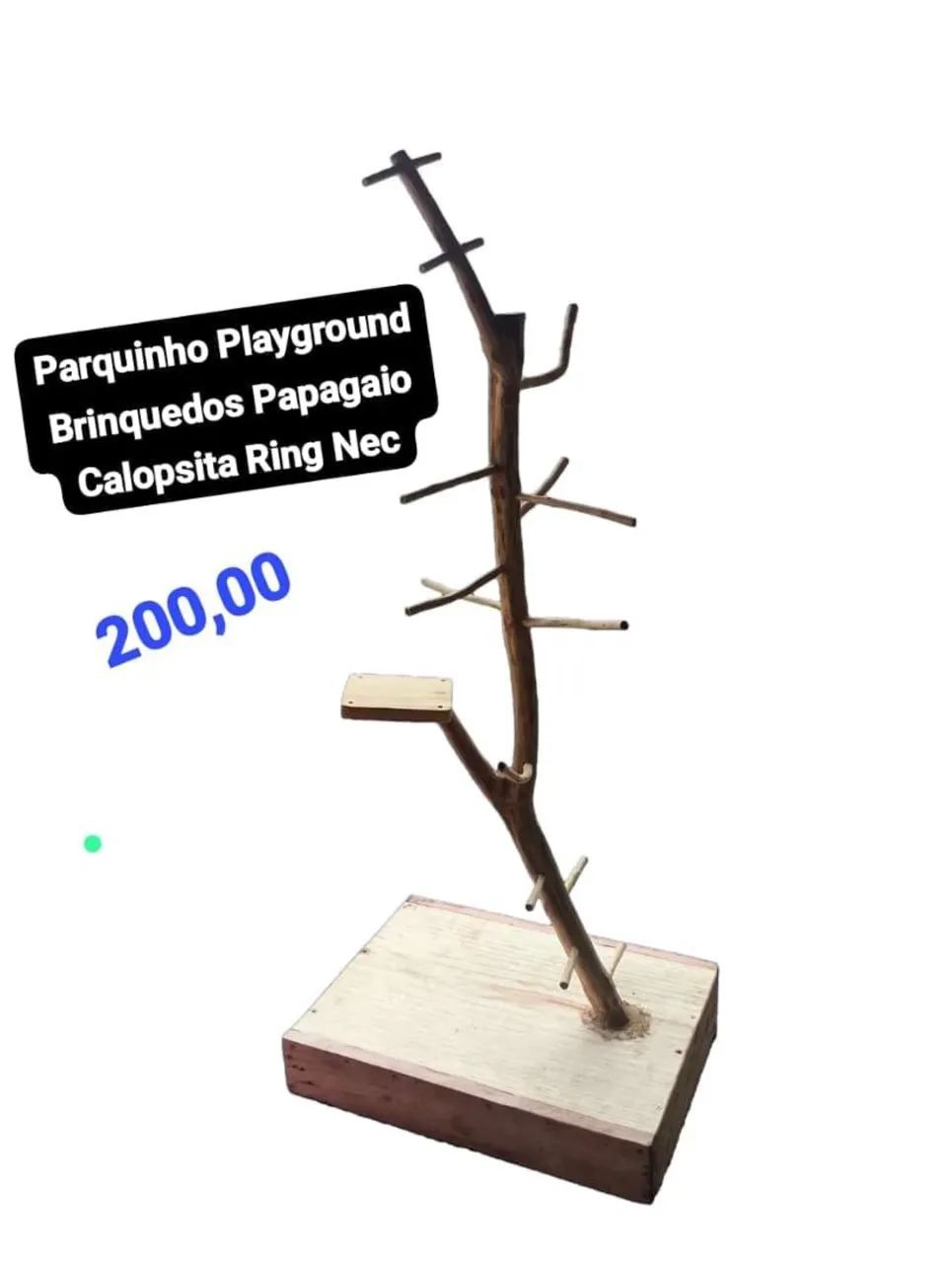 Playground para pássaros 