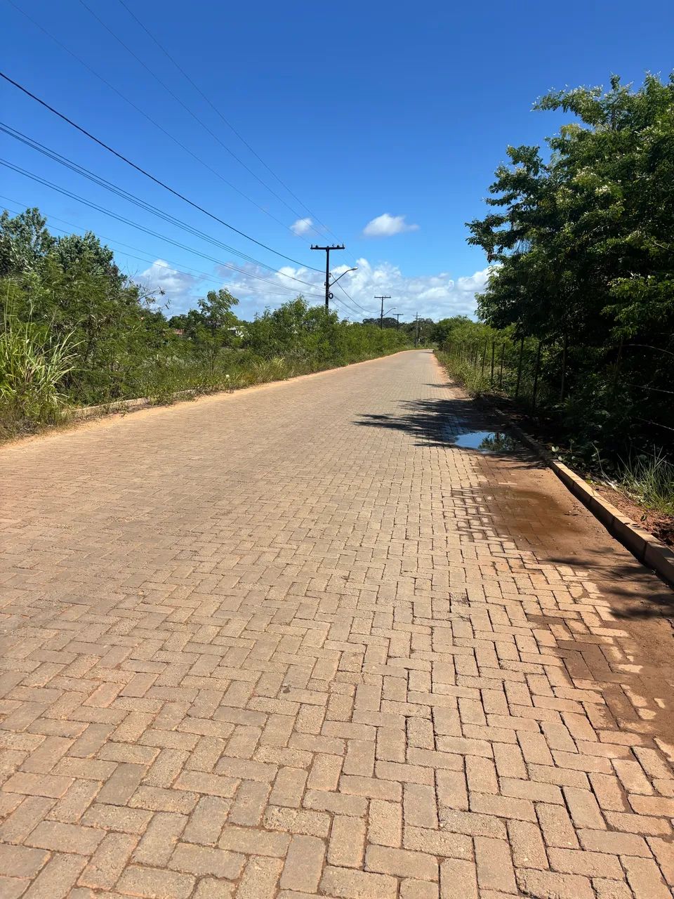 Vendo terreno. Contato- *,falar com Moura. - Foto 4