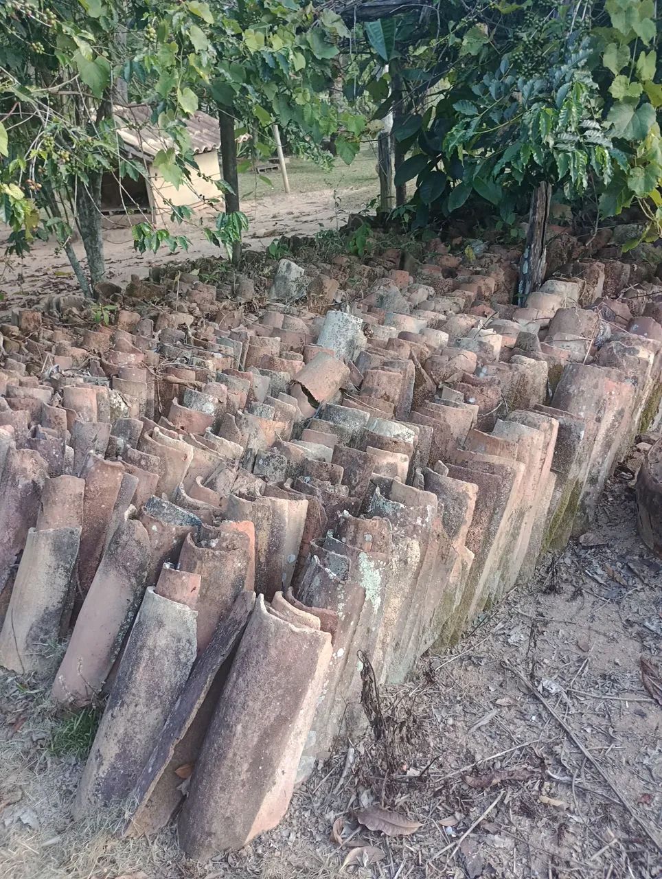 Telhas de barro antigas 