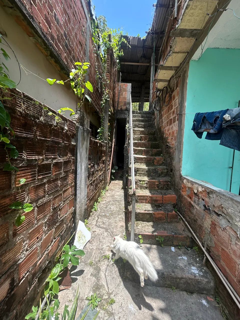 2 casas e 1 ponto comercial  - Foto 2