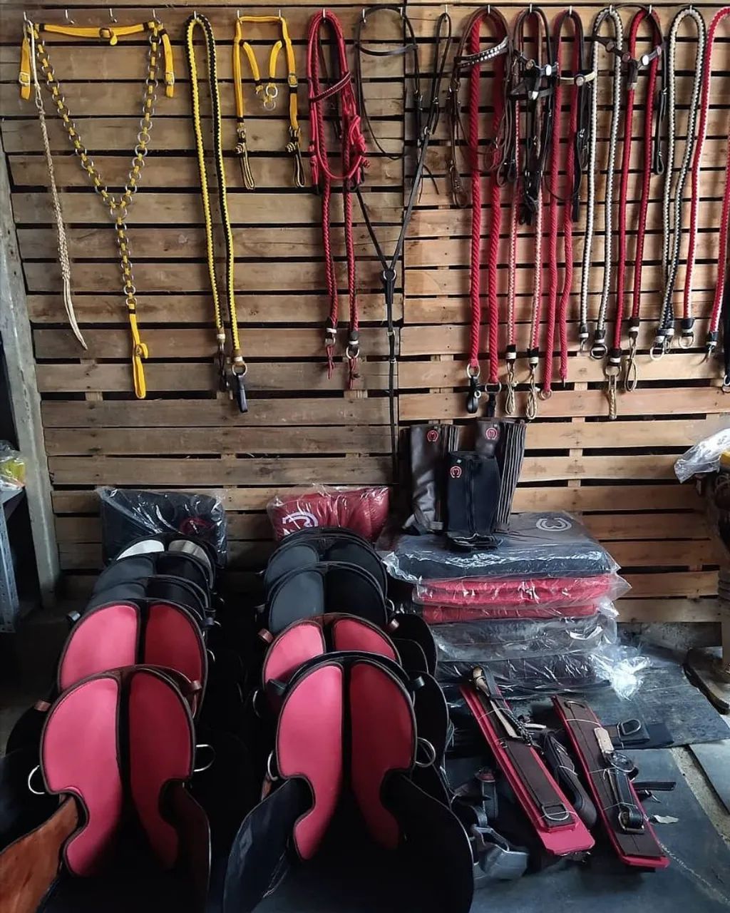 Selas Pista Nova - Foto 6