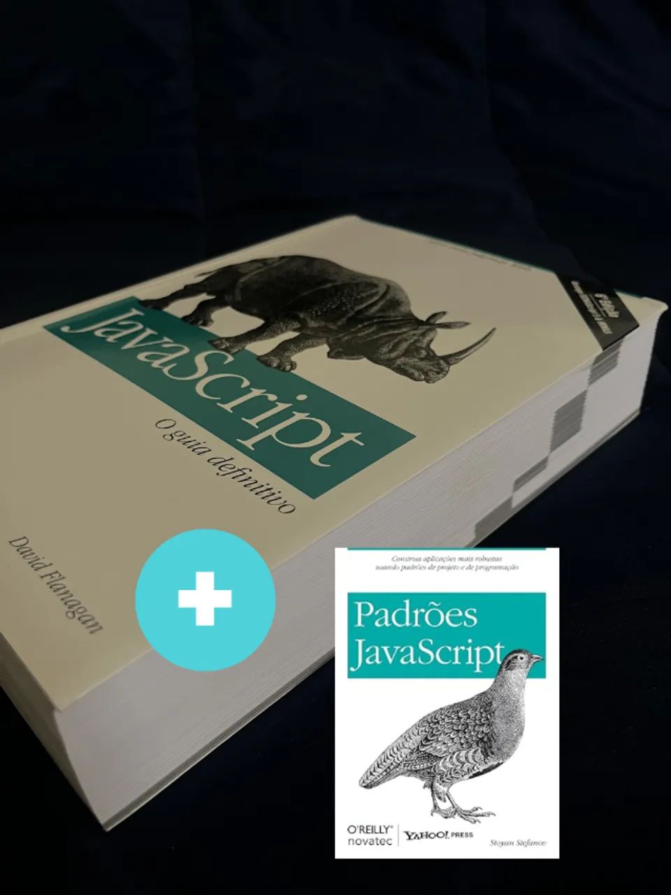 Livro JavaScript (Programação) (Ciencia da Computação) 