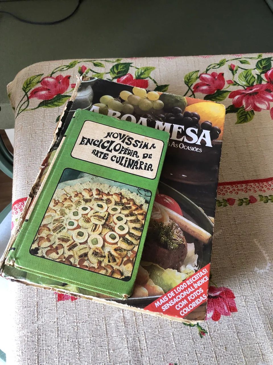 Livros antigos culinária e moda 