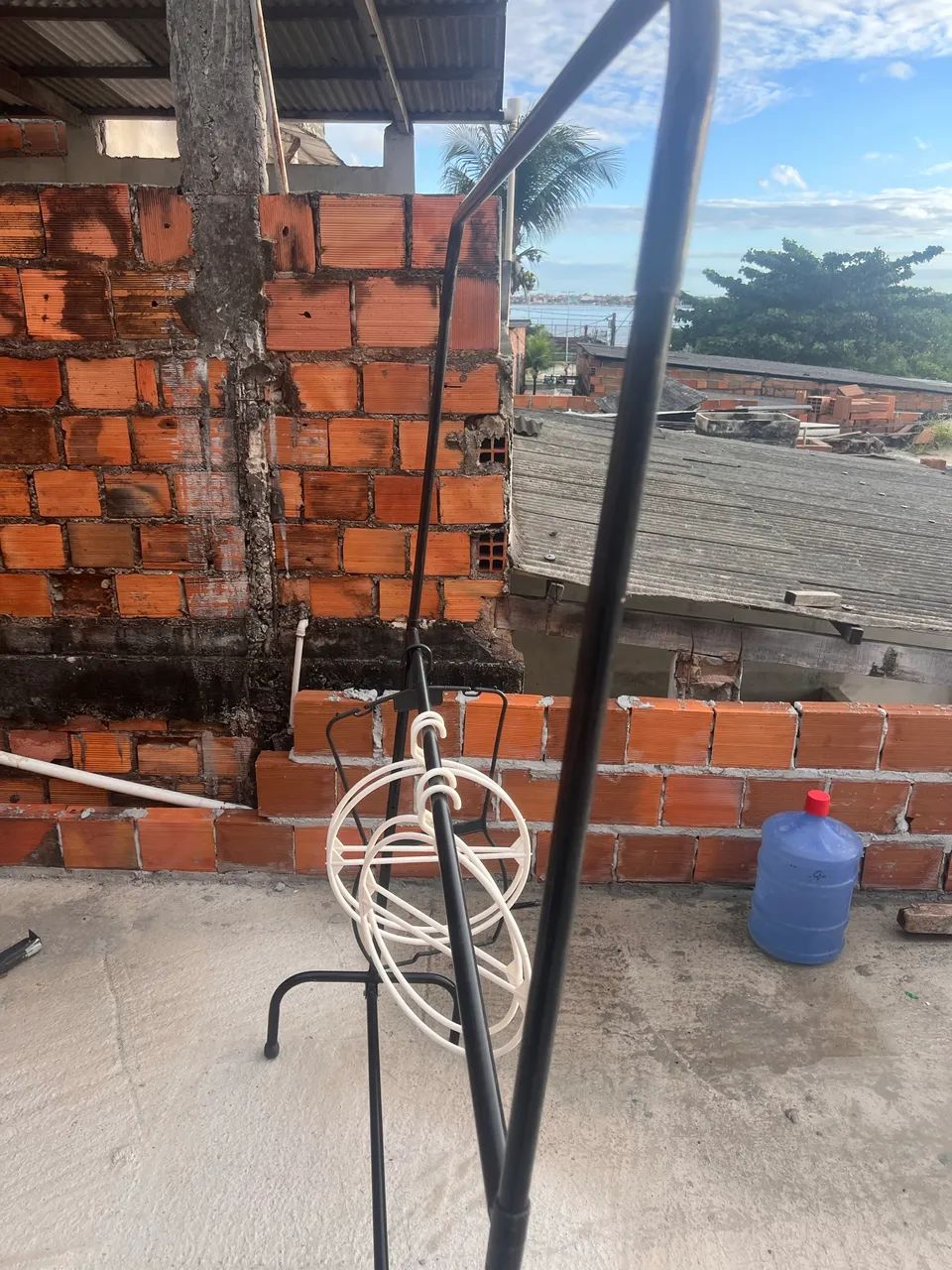 Arara - Foto 3