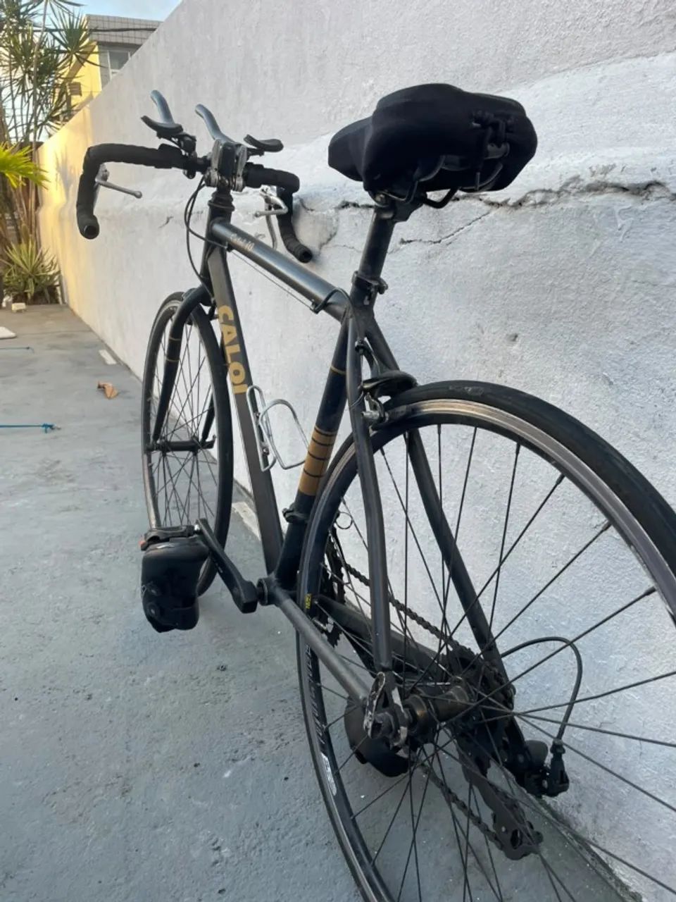 CALOI 10 SPEED