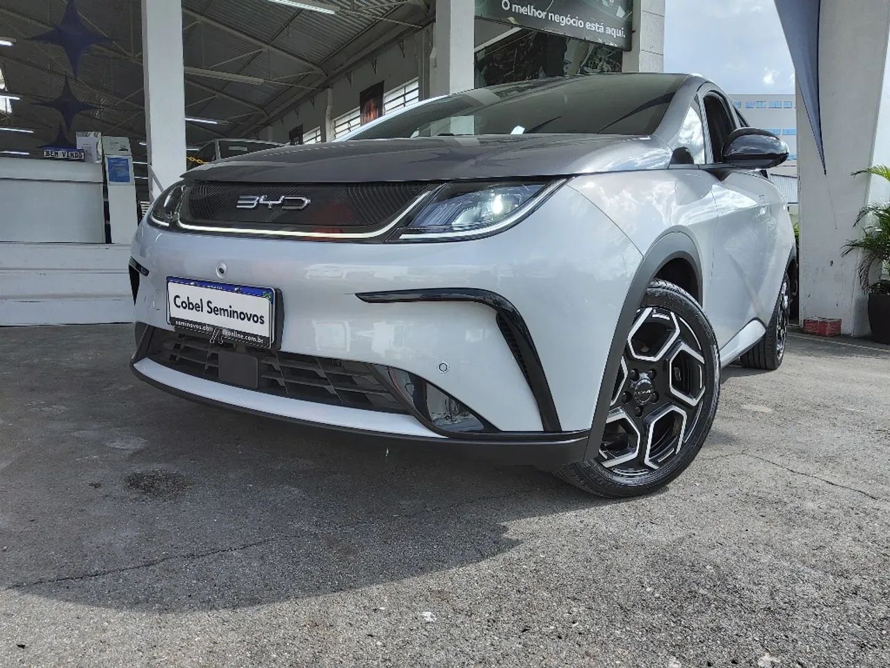 BYD Dolphin EV (Elétrico) 2024 - Foto 2