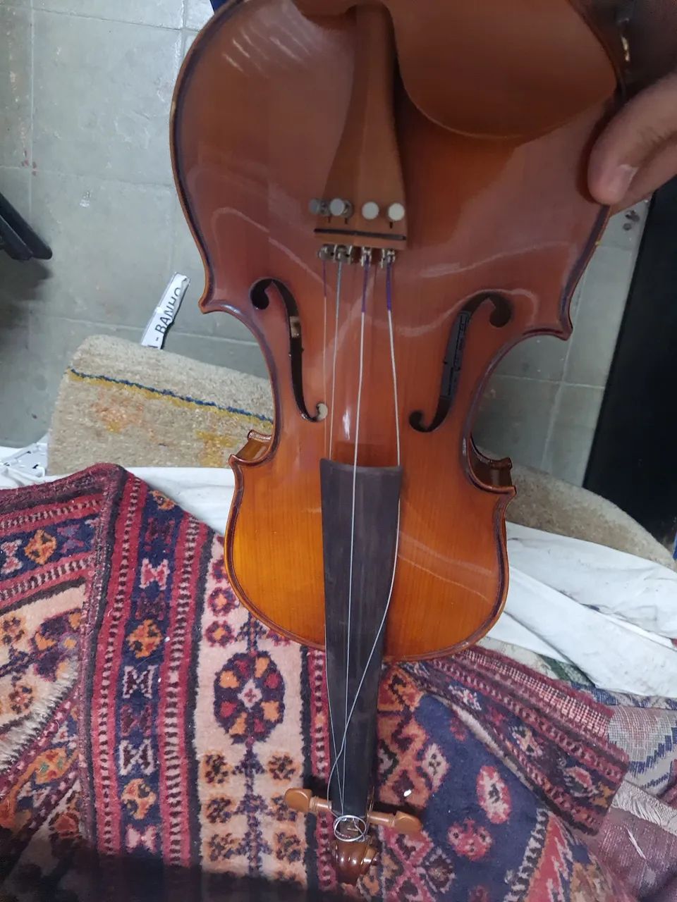 Violino eagle vk441
